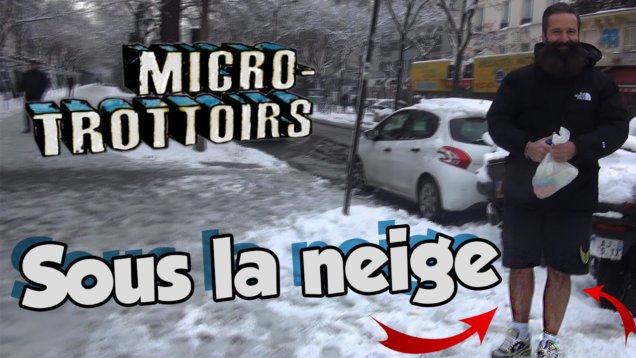 Miniature neige Micro-trottoir2